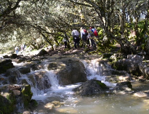 RUTA DE LA OLLA DEL ARROYO DEL MEMBRILLO