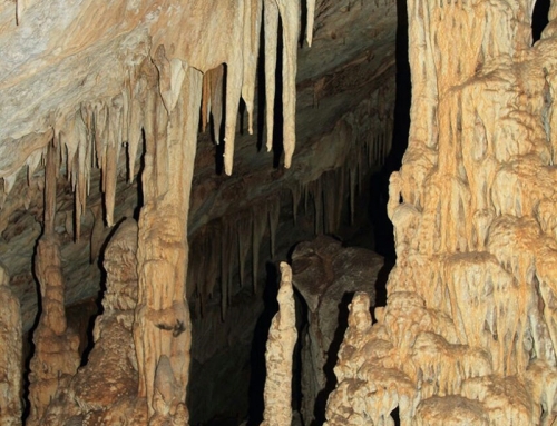 VISITA A LA CUEVA DE LOS MURCIÉLAGOS