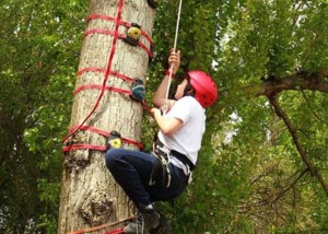 multiaventura cazorla