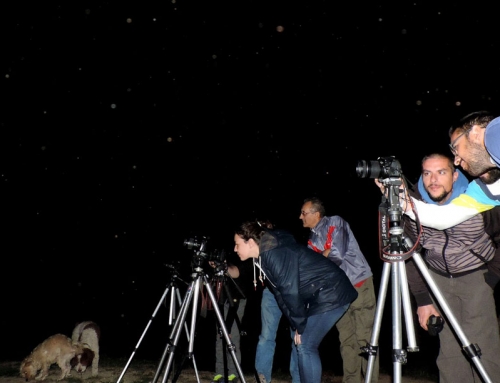 NOCHE DE ESTRELLAS