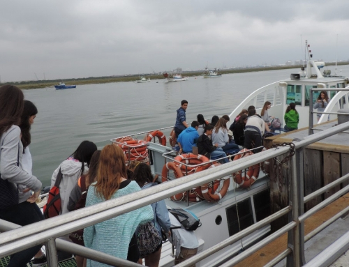 PASEO EN EMBARCACIÓN POR RÍA DEL ODIEL PARA AVISTAMIENTO DE AVIFAUNA