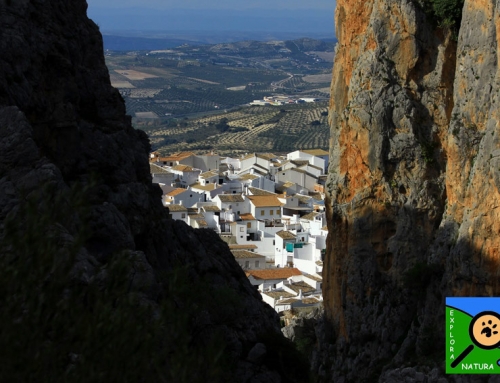 RUTA POR EL CAÑÓN DEL RÍO BAILÓN EN ZUHEROS