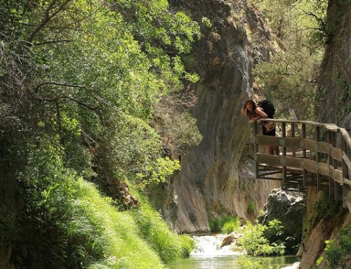 NACIMIENTO DEL RÍO GUADALQUIVIR