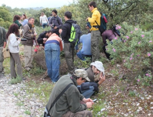 RUTA POR EL SENDERO BOTÁNICO DE SANTA RITA