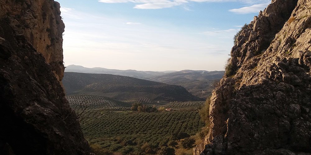 aprender en la naturaleza