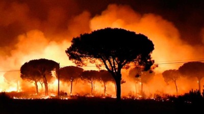Cómo prevenir incendios forestales