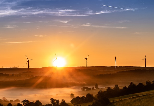 contra el cambio climático