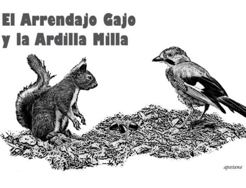 Entre cuentos y animales: El arrendajo Gajo y la ardilla Milla